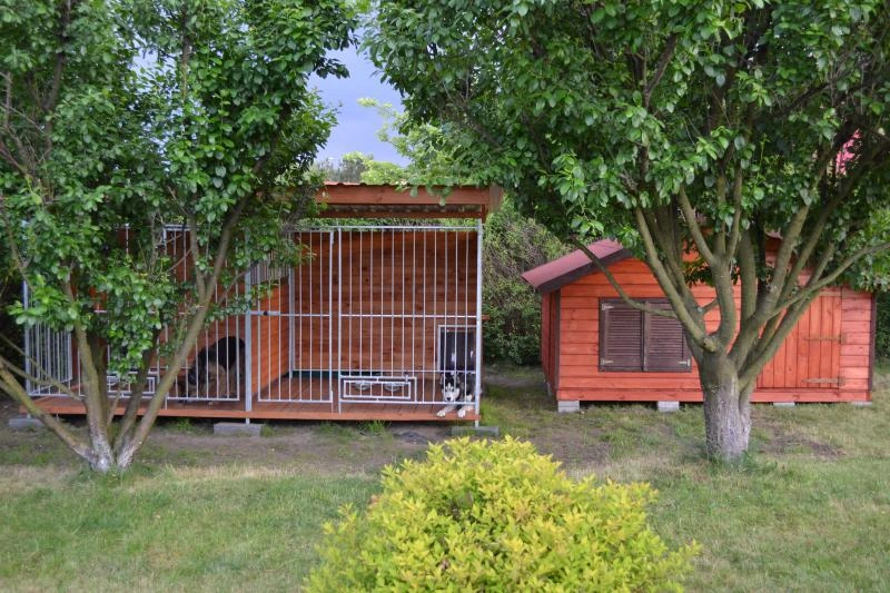 Drewniany domek z zadaszonym boksem i psem przy wejściu – bezpieczne miejsce noclegowe w hotelu dla psów Jura