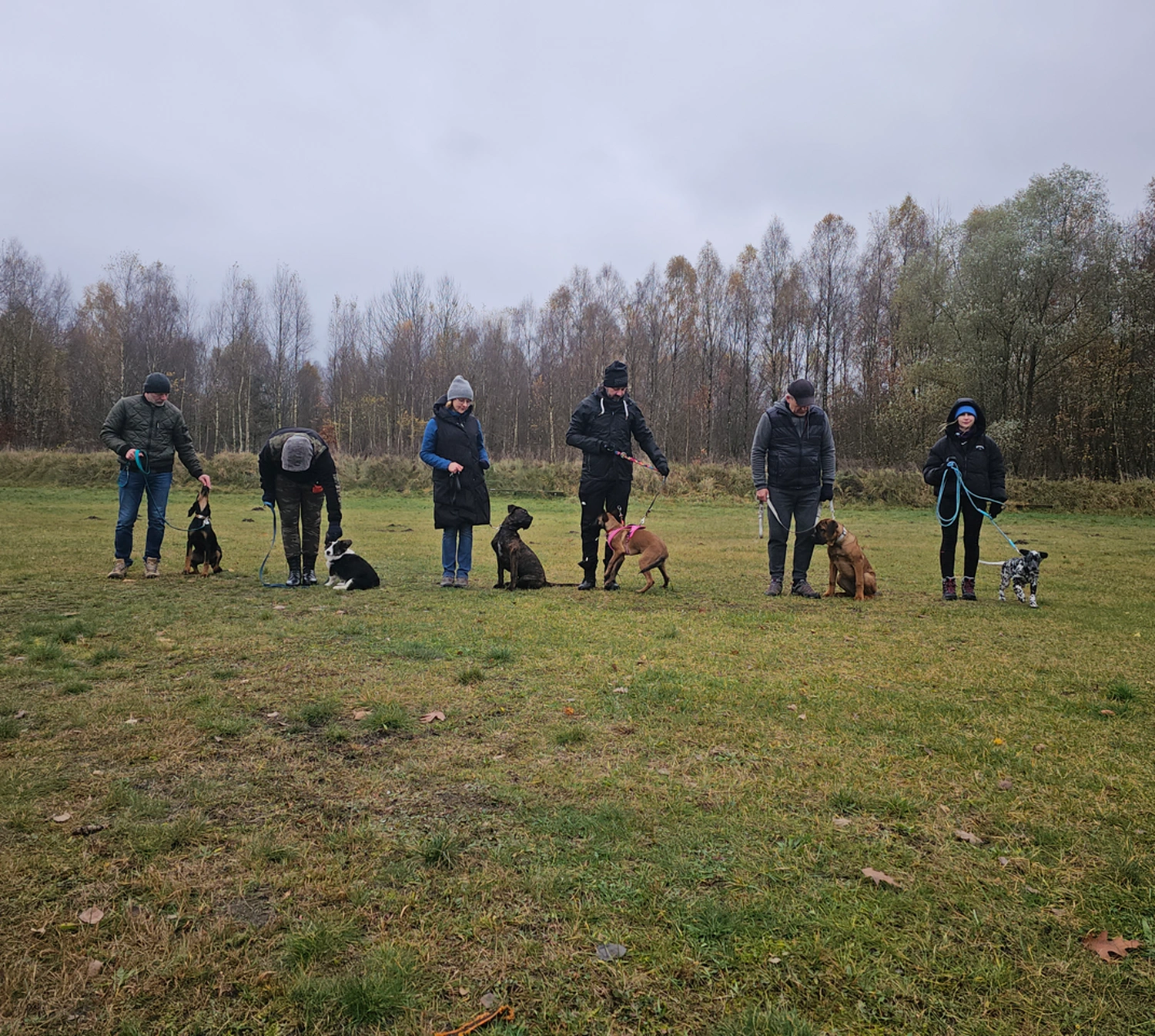 Grupowe szkolenie szczeniąt w Kroczycach – psi przedszkolaki uczą się podstaw posłuszeństwa i socjalizacji